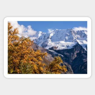 Alpen Autumn Sticker